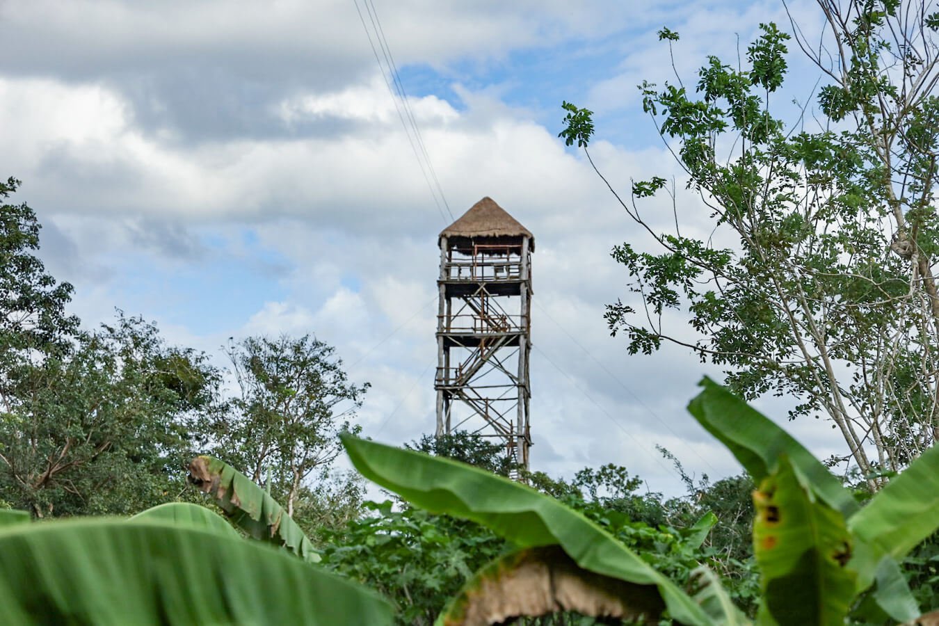 The zip-line tower at Hacienda Selva Maya near Valladolid