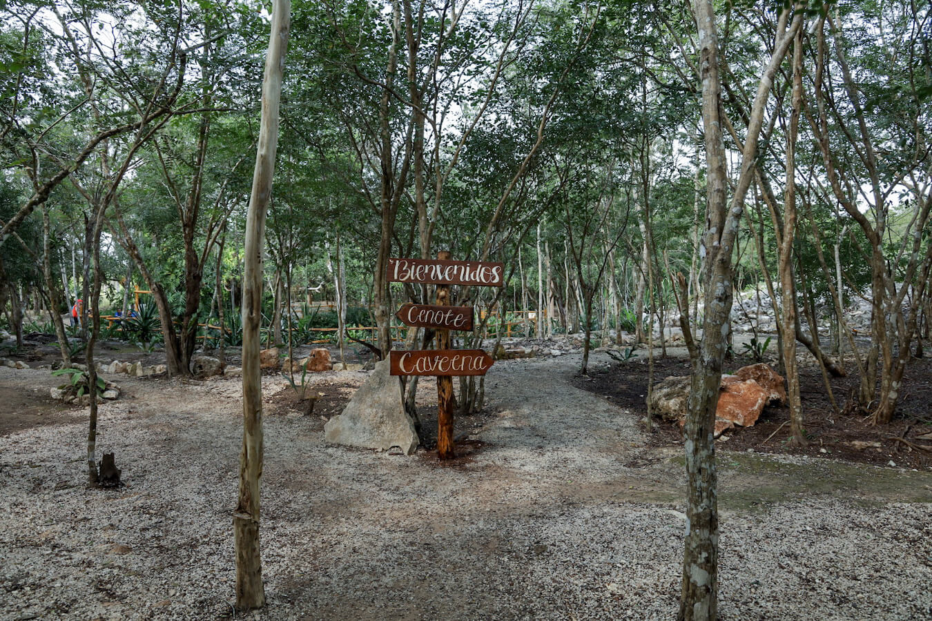 Signs leading towards caves at Sac Aua.