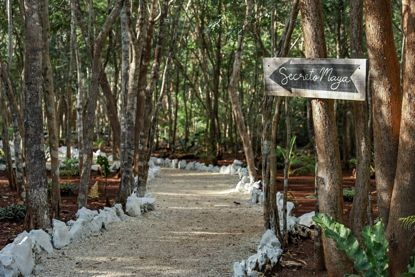 The path leading into the jungle bungalows and hotel at Cenote Secreto Maya in Valladolid