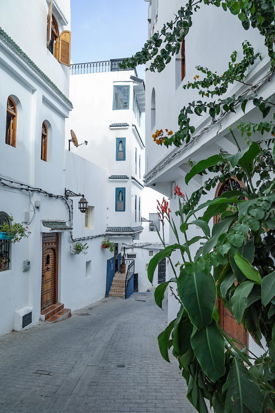 The beautiful white walled apartments and bougainvillea photographed within the Tangier Kasbah and Medina, while exploring top things to do.