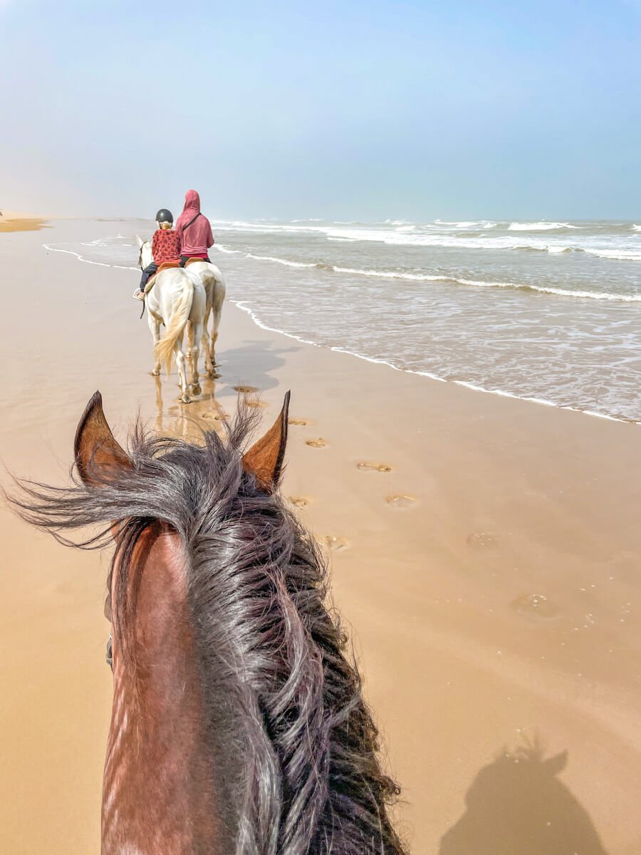 Riding horses on Essaouira beach is one of the best things to do while on vacation.