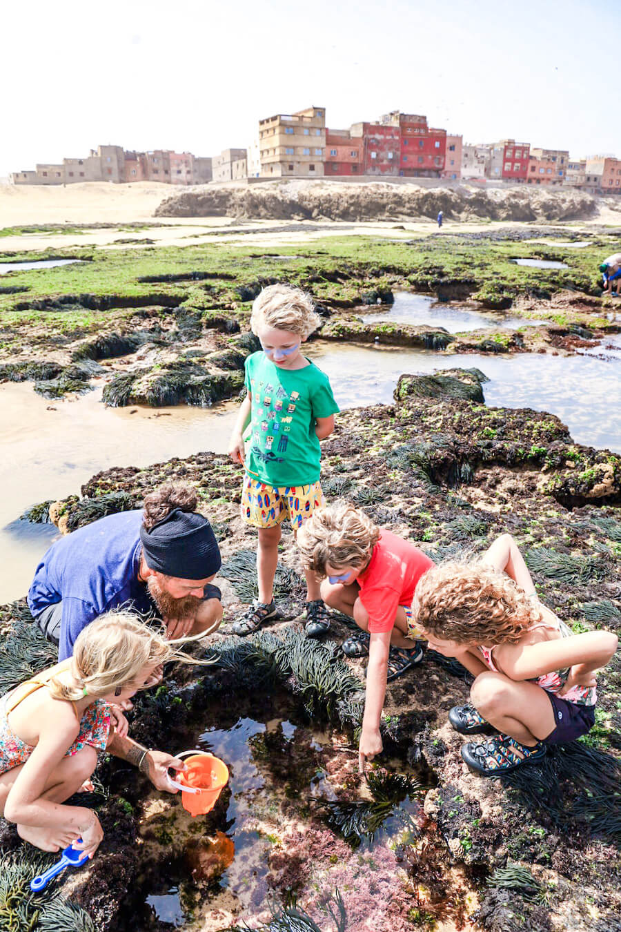 Kids and father look for octopuses in the rock pools in Morocco