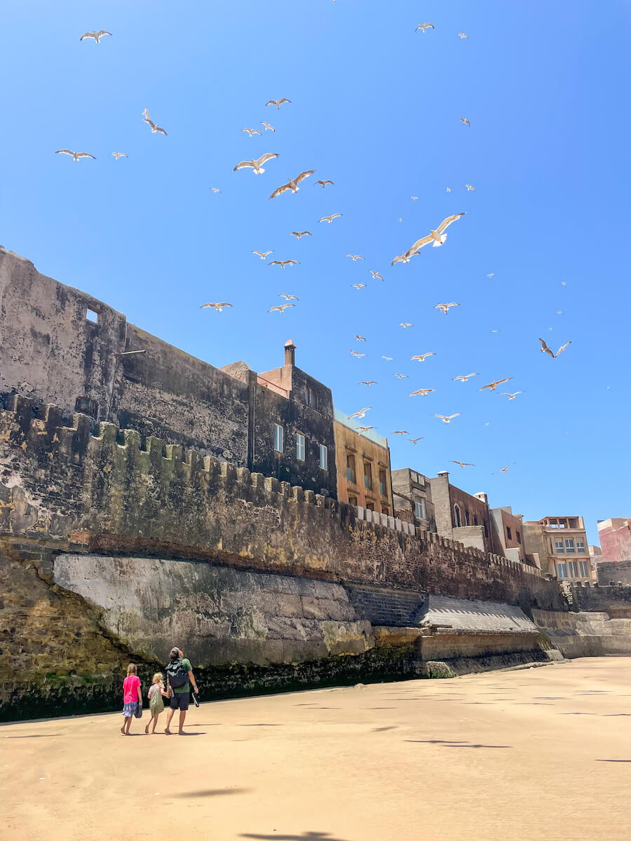 Walking around the rampart walls at low tide in Essaouira is one of the best things to do.