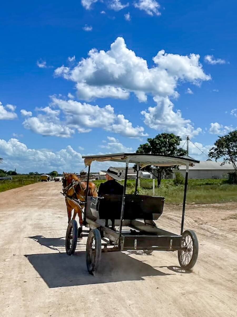 A Mennonite woman riding by horse and cart in Salamanca near Bacalar - one of the more unique places to visit.