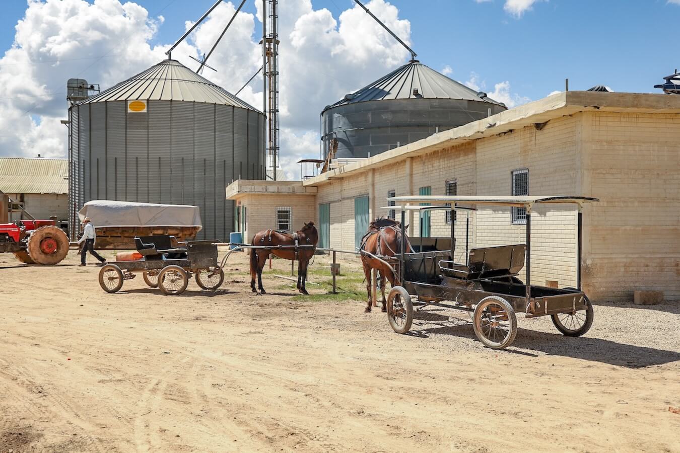 Horse and carts lined up in the village of Salamanca 