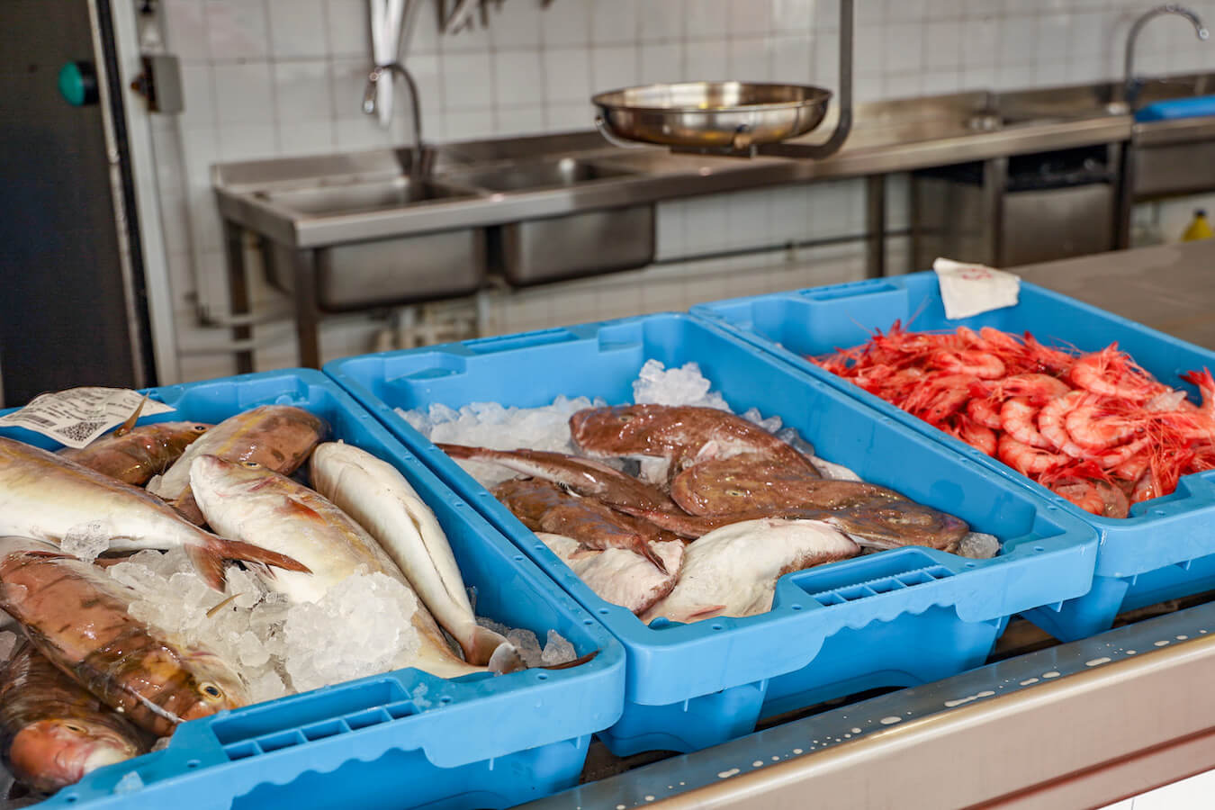 Fish in blue trays at a Spanish fish market.