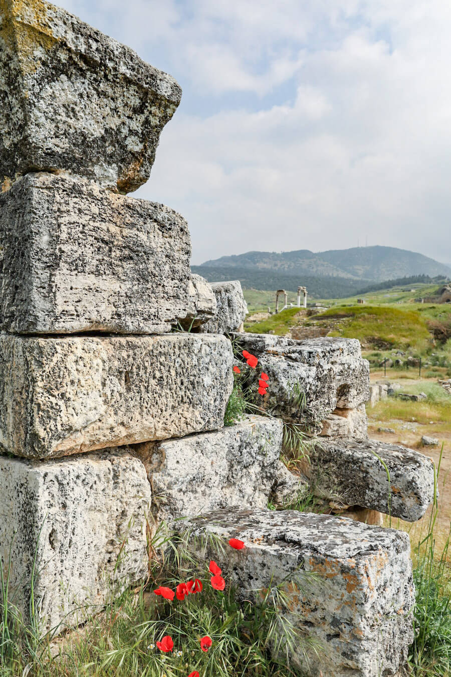 Poppies grow among the Hierapolis Archaeological Site and ruins.