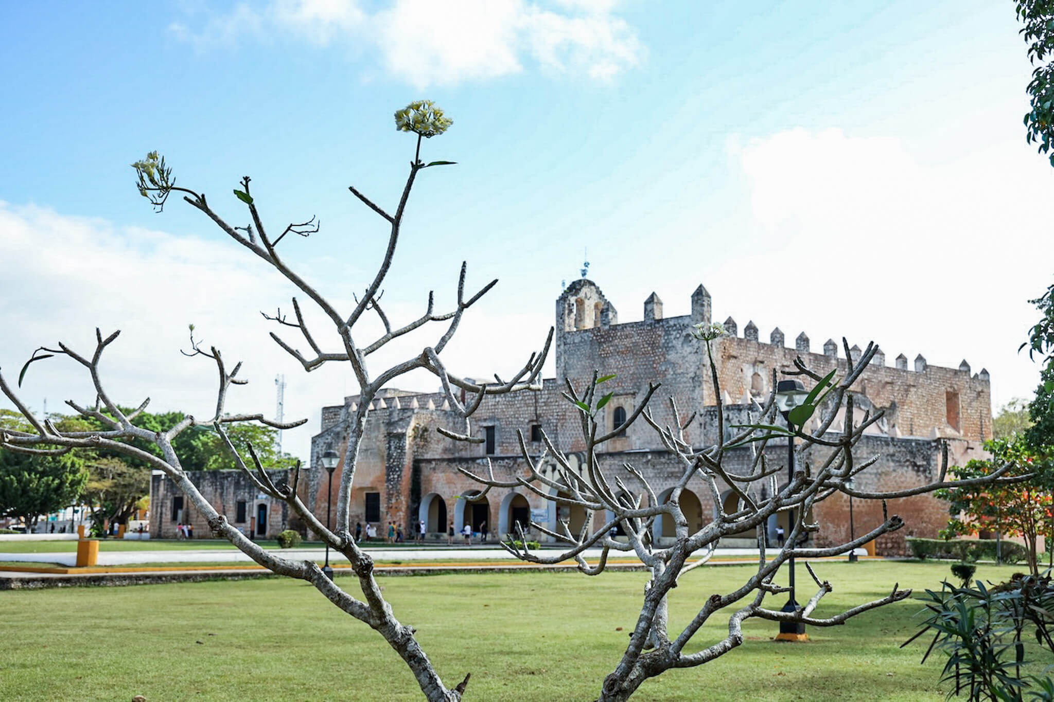 A tree growing in Parque Sisal with the Convento de San Bernardino de Siena in Valladolid - a popular tourist spot and place to visit in Valladolid