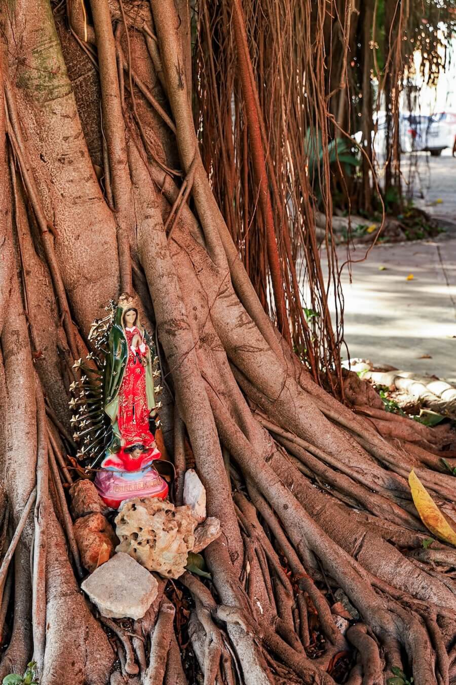 A religious offering at the base of a tree in Valladolid.