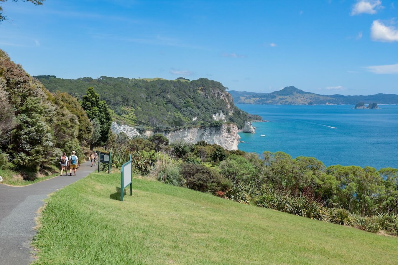 The trail leading into Cathedral Cove from the top carpark
