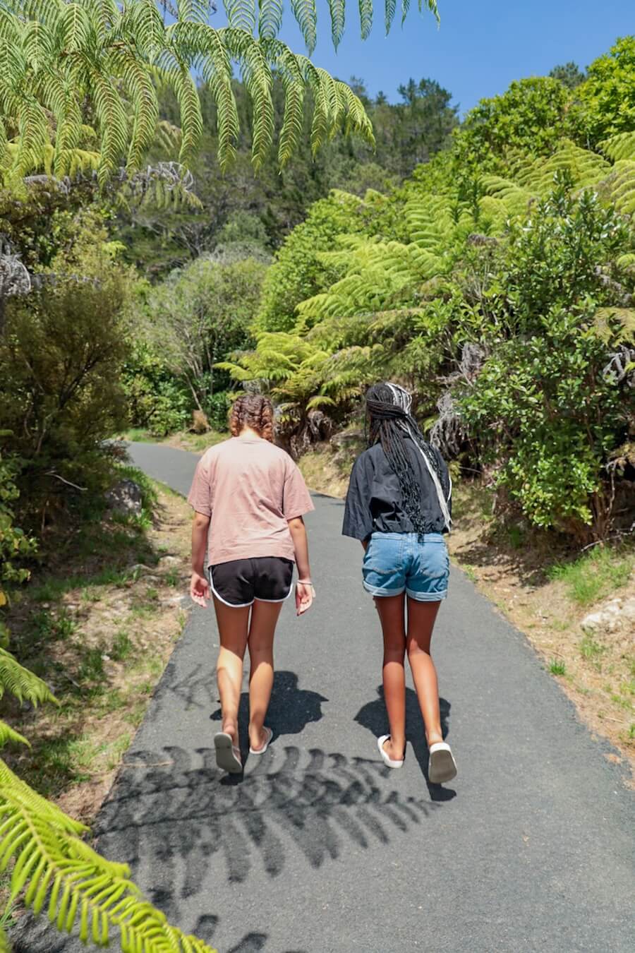 Children walking the paved trail into Cathedral Cove in the Coromandel