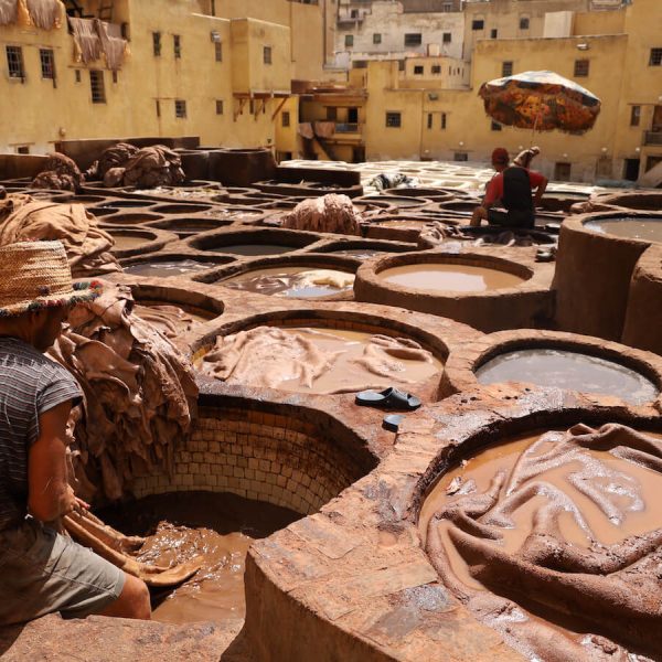 The Chouara Tannery is a great place to visit on a two day visit to Fes Medina - getting up close and personal on a self guided walking tour