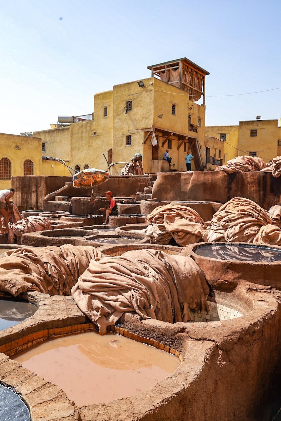 Getting a closer look at the animal hides in the vats of dye in the Chouara Tannery in Fes on a guided walking tour