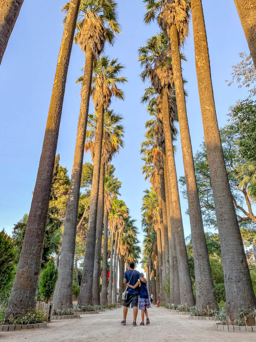 A family stand in front of tall palm trees in Jnan Sbil in Fes on a self guided walking tour