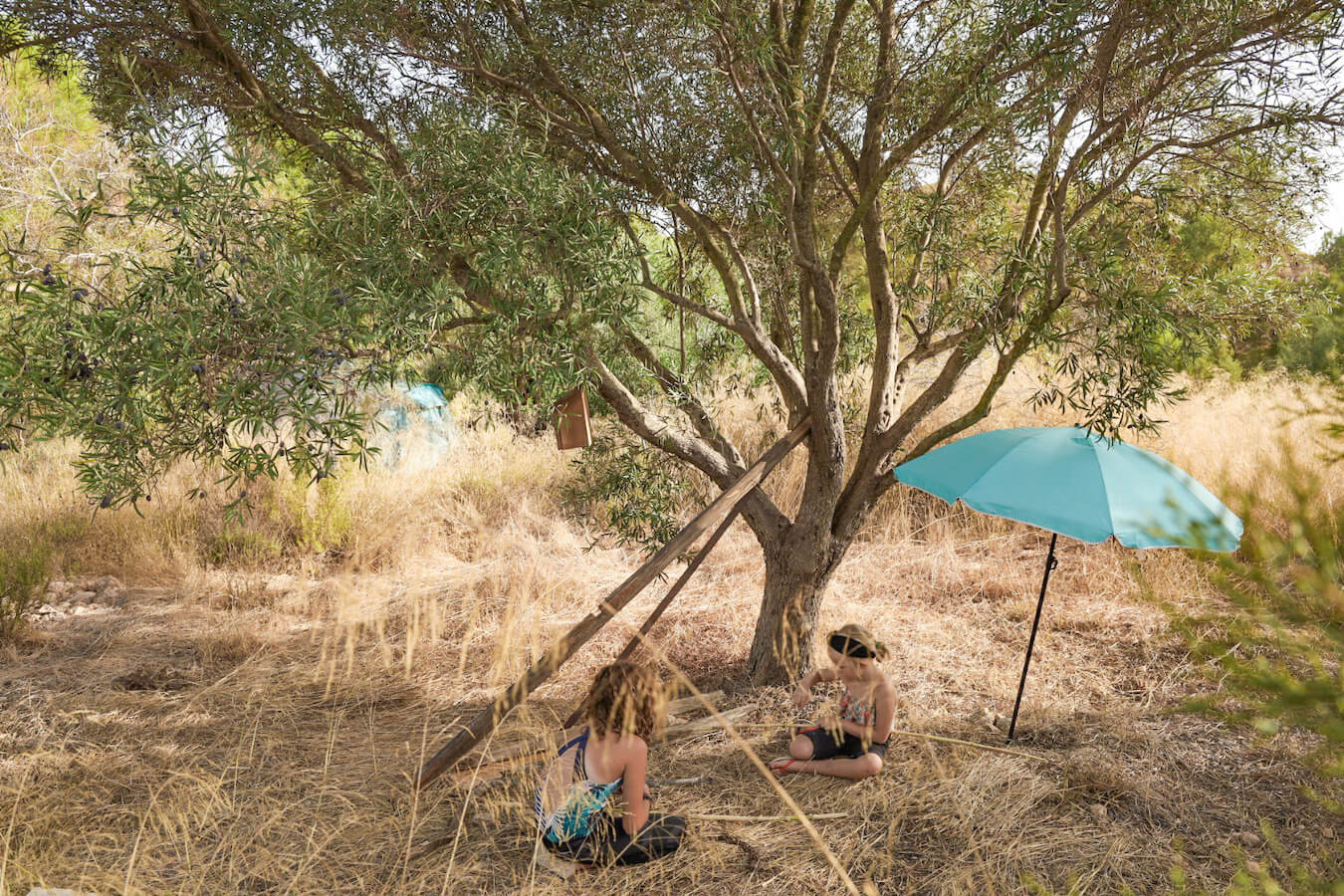Kids play under a tree in Portus near Cartagena in Spain.