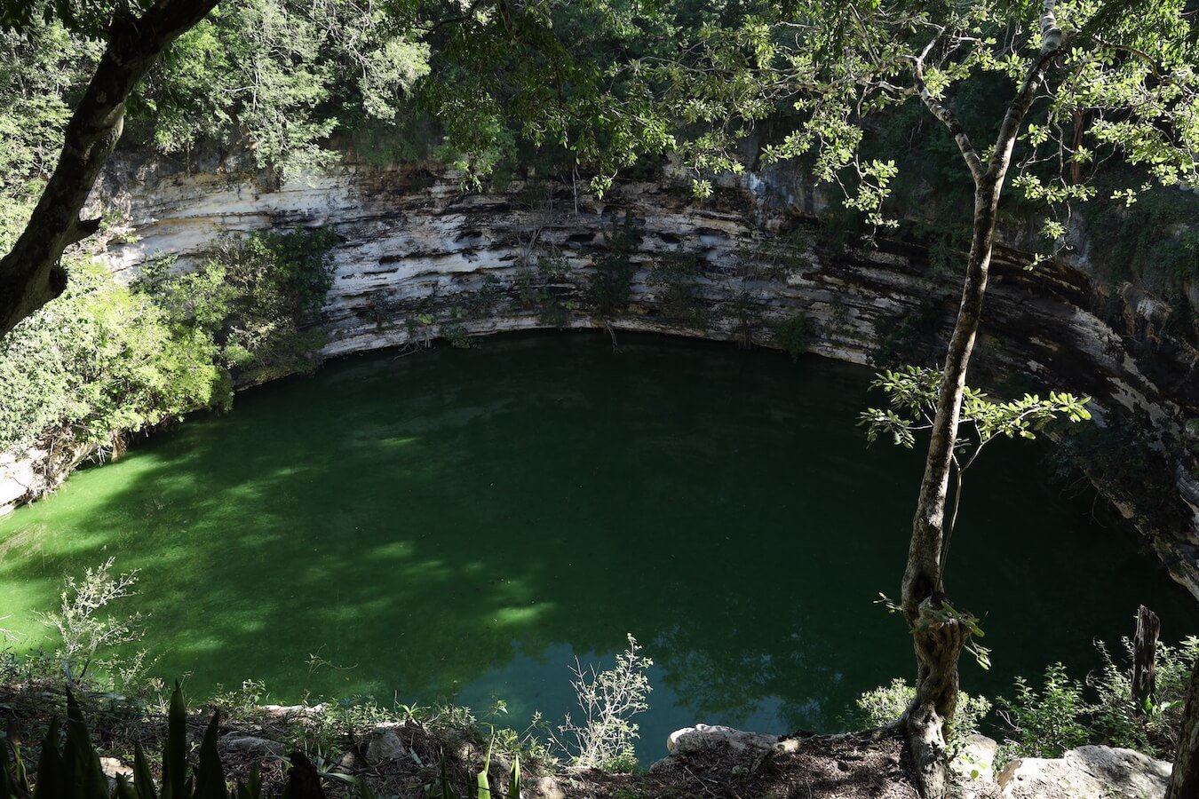 The Sacred Cenote at Chichen Itza