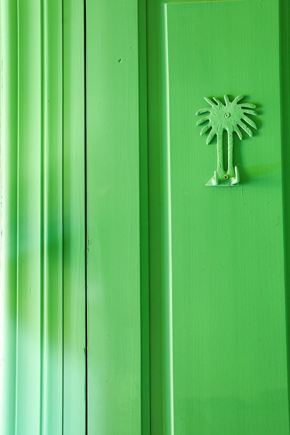 A green door with green towel hook at Villa Riu Blanc