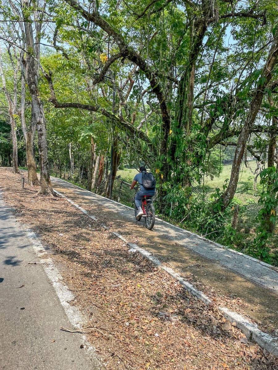 A man biking down the bike bath from the Palenque ruins.