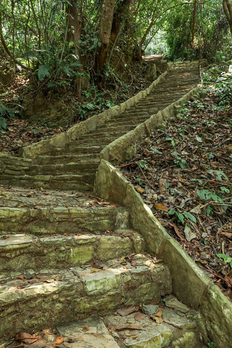 The staircase leading from Complexes I & II to the North Group Complex