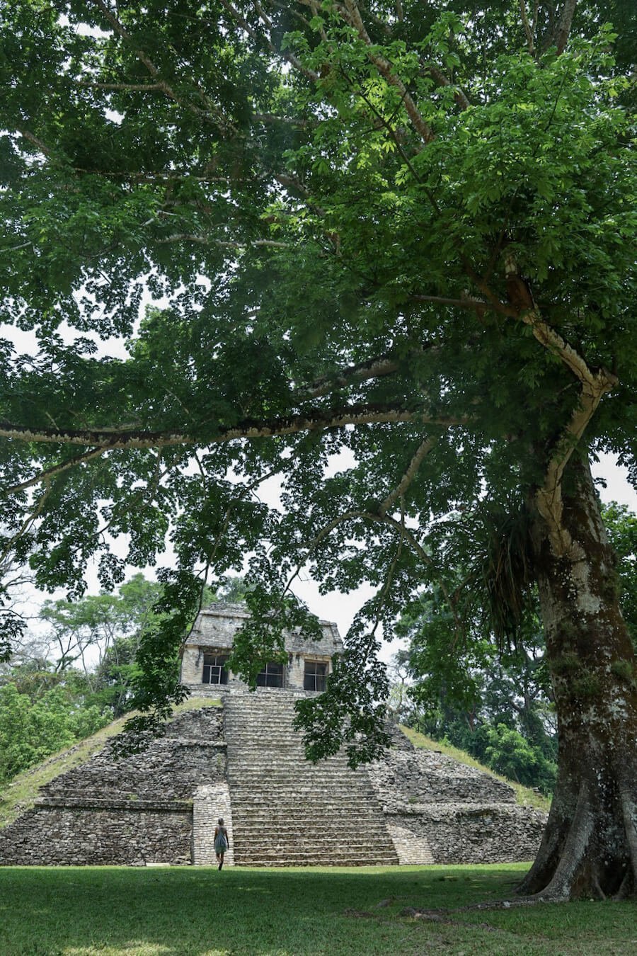 A lady walking towards the Temple of the Count at Palenque, while on a self guided tour.