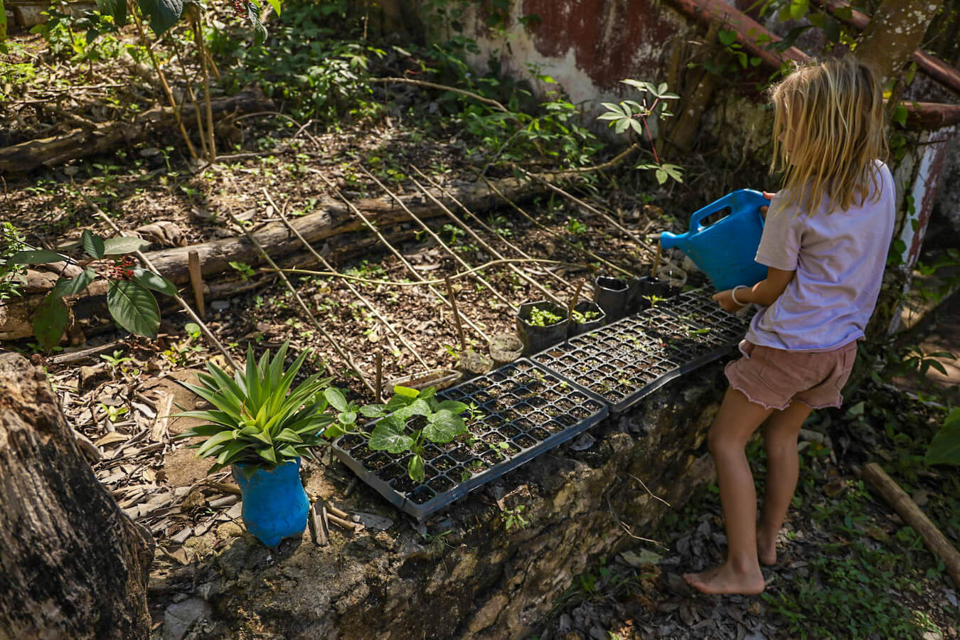 A child waters seedlings while on a work exchange program in Mexico.