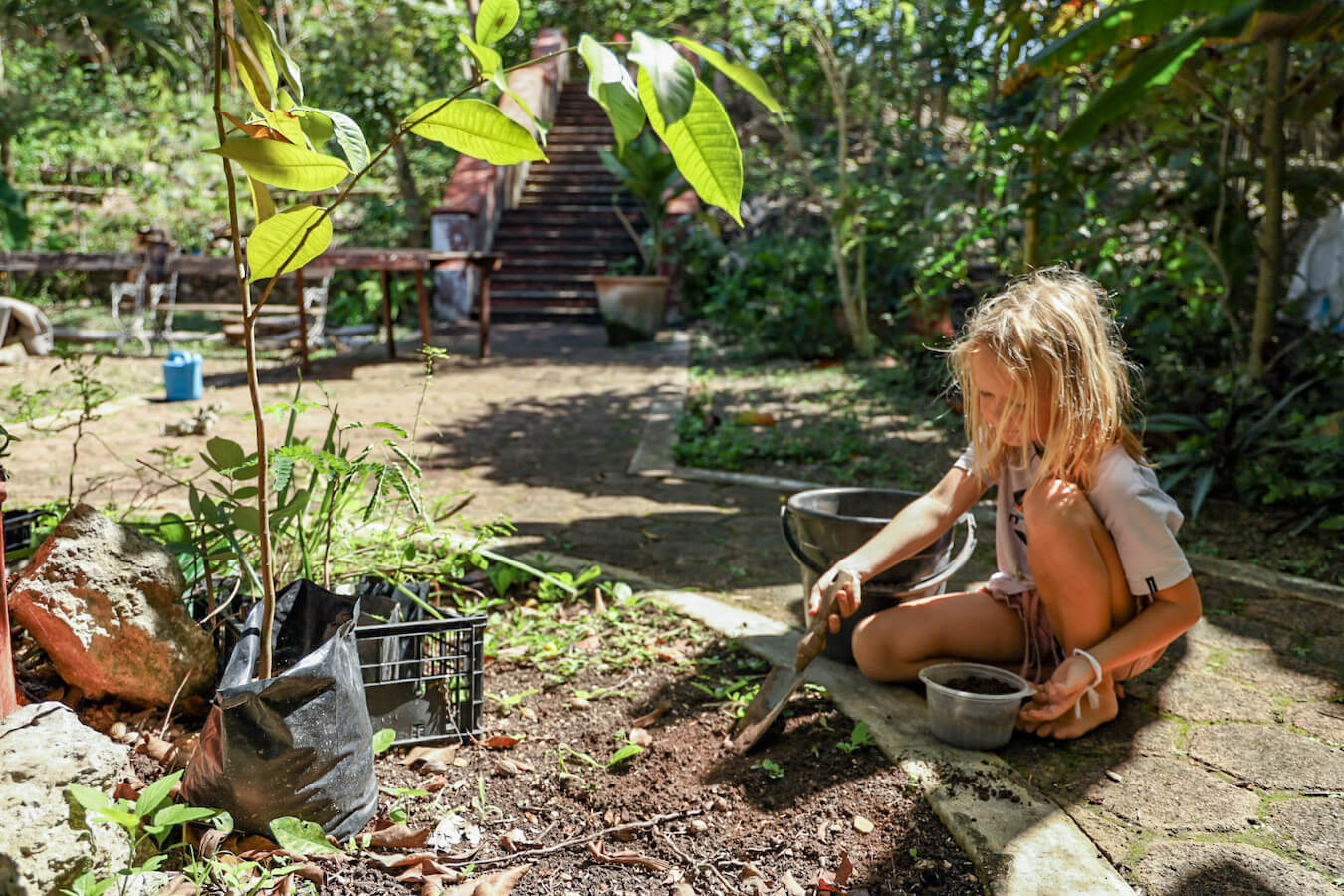 A child on a family work exchange helps to plant seeds in the garden.