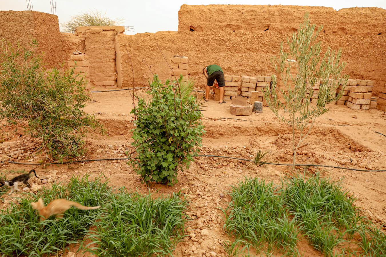 Man stacking mud bricks in a Moroccan garden while on a family work exchange.