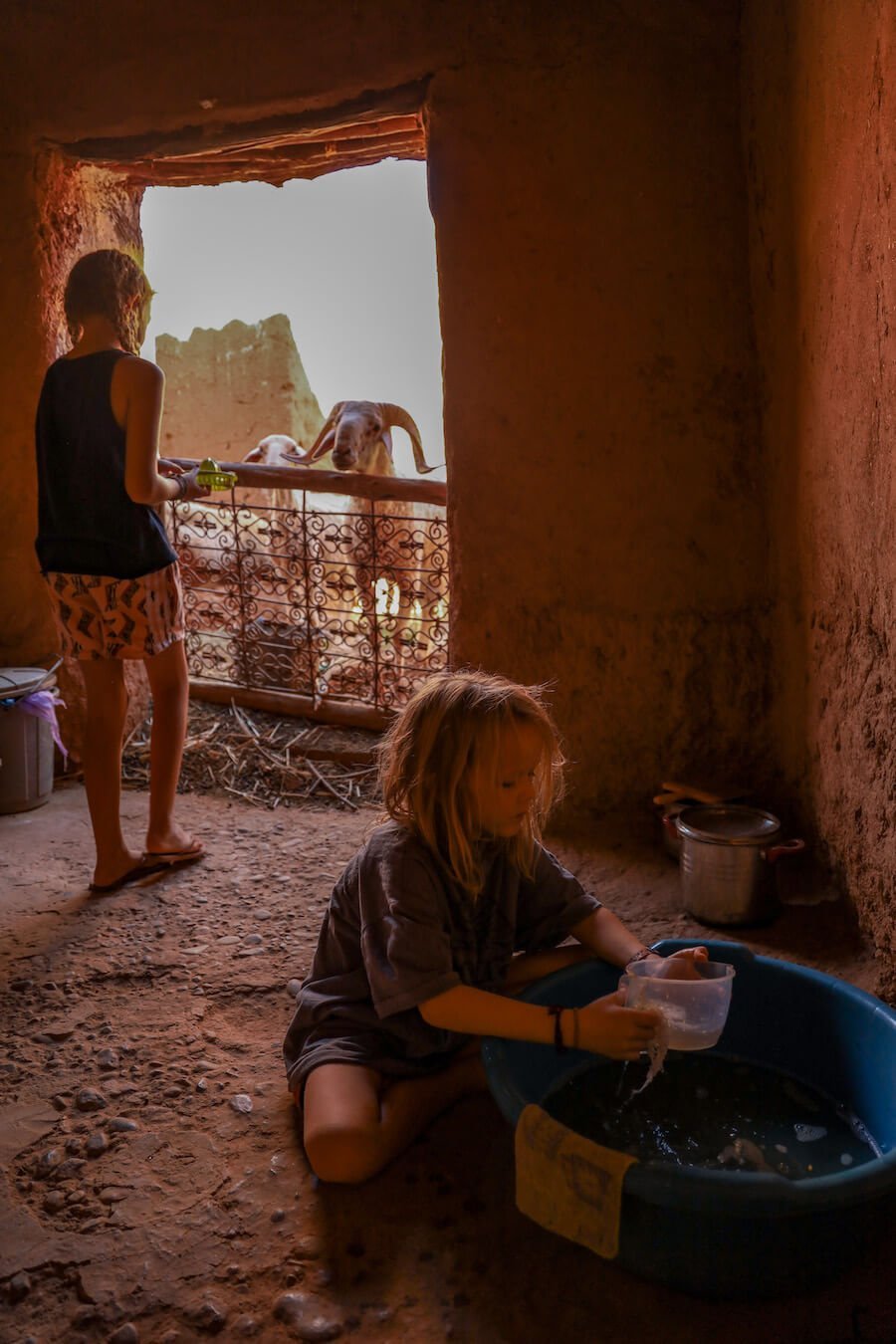 A young girl washing dishes, while her older sister feeds the sheep while working on a family work exchange in Morocco.