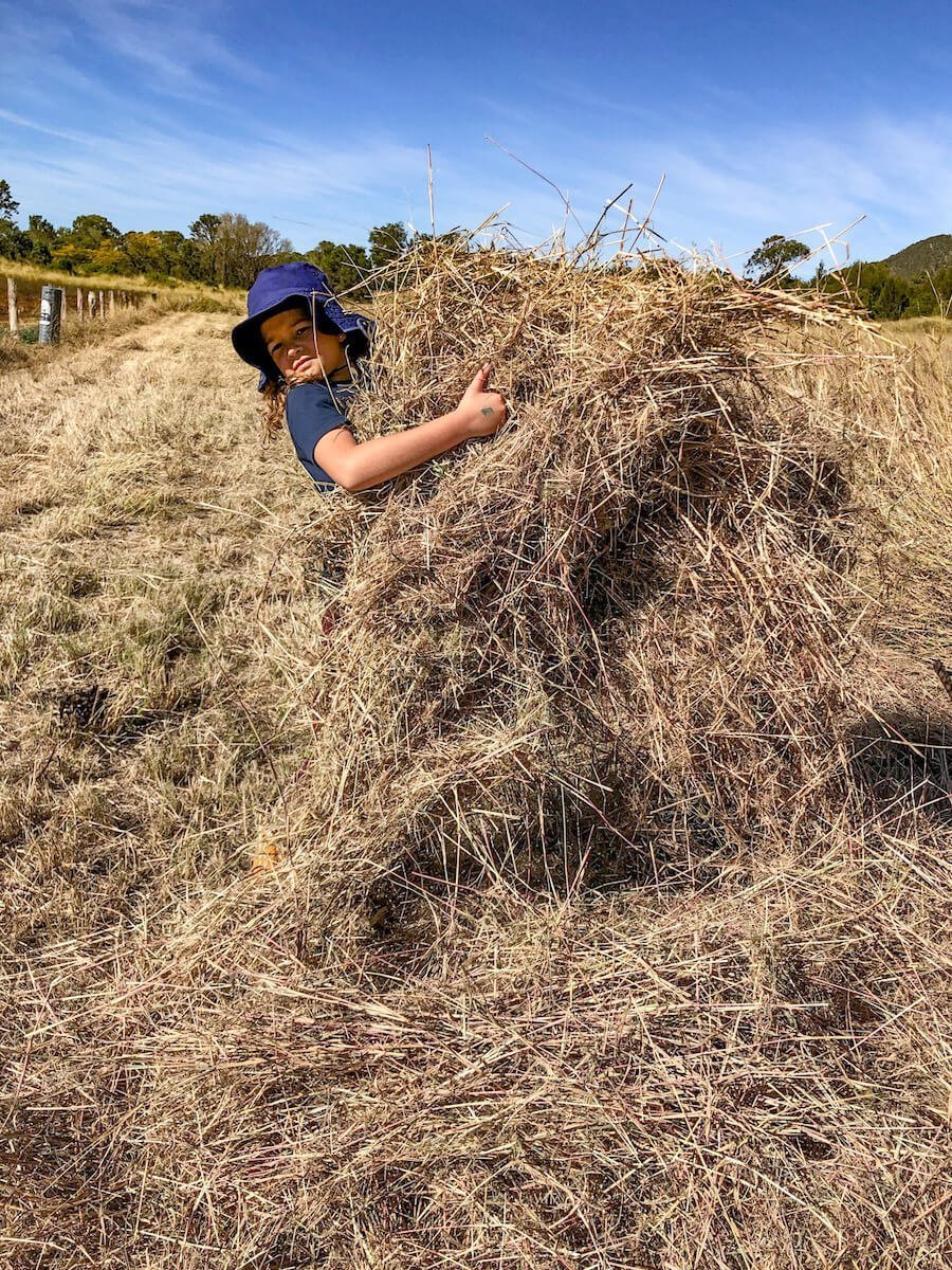 A child helps to lift hay while on a work exchange program in Australia.