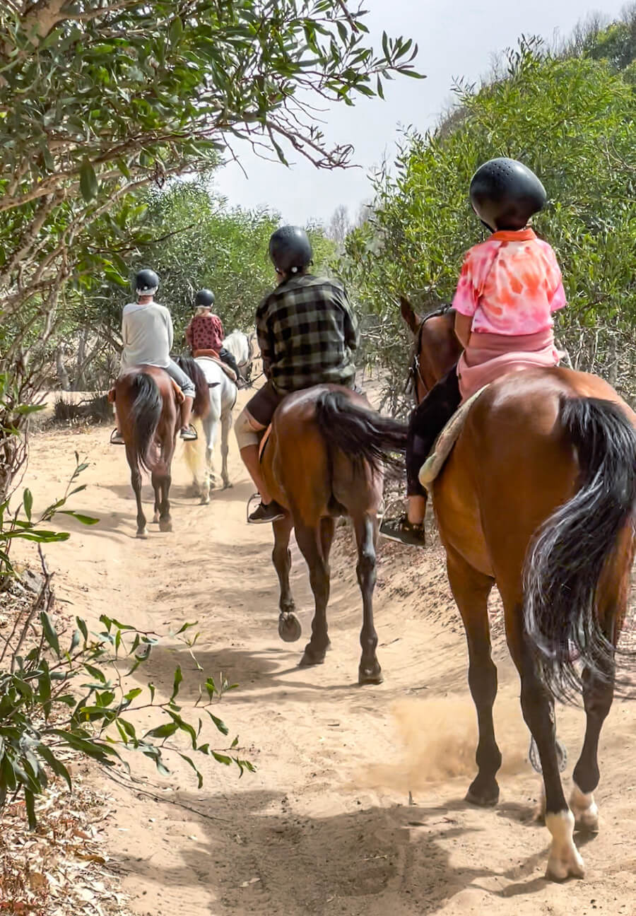 A family ride horseback through the forest on a Yassine Cavalier tour in Essaouira, Morocco