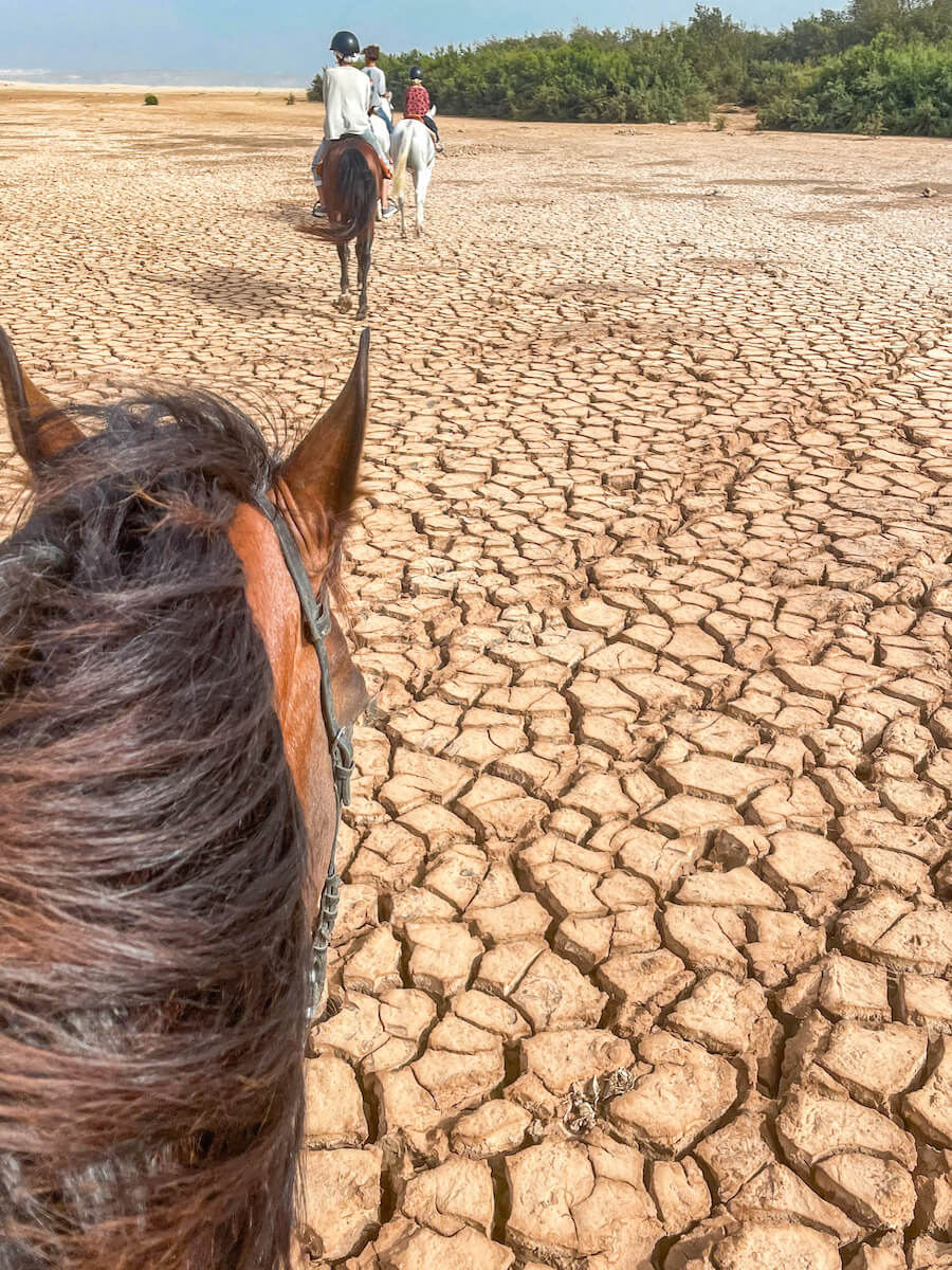 Walking through a dry river bed on horseback towards the beach in Essaouira, Morocco
