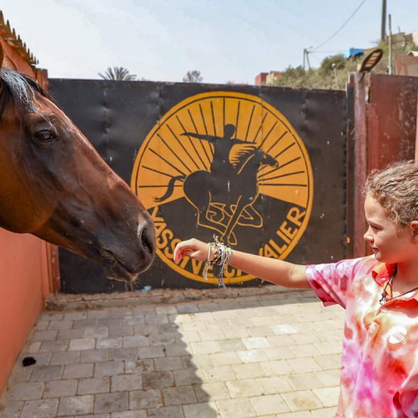 A young girl greets a horse at the Yassine Cavalier horse stables in Essaouira Morocco