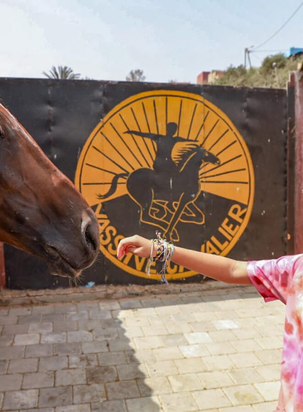 Horse Riding with Yassine Cavalier in Essaouira – Our Review!