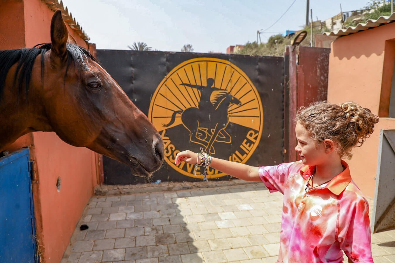 A young girl greets a horse at the Yassine Cavalier horse stables in Essaouira Morocco