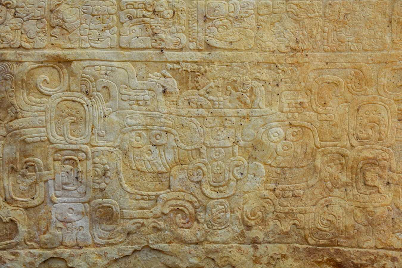 A close up image of the hieroglyphs  from Stela 1 at Bonampak ruins.