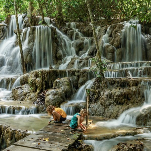 The Lacandon Jungle: How to Visit & Which Tour to Book