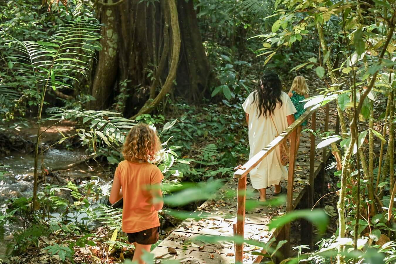 A guided tour through the Lacandon Jungle