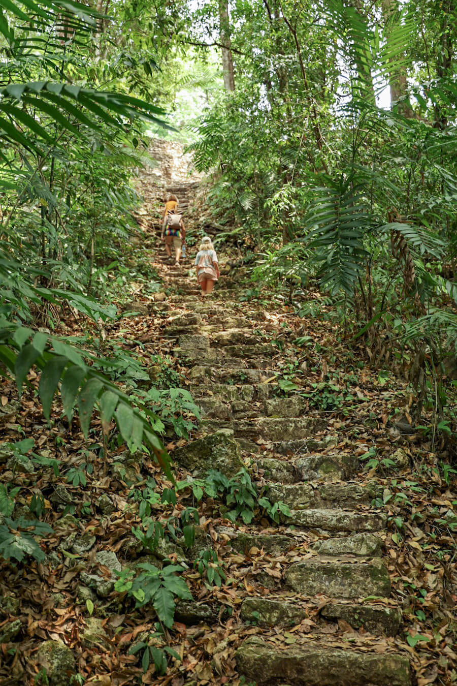 Father and his daughter walking up the stairs to structure 33, while exploring Yaxchilán ruins.