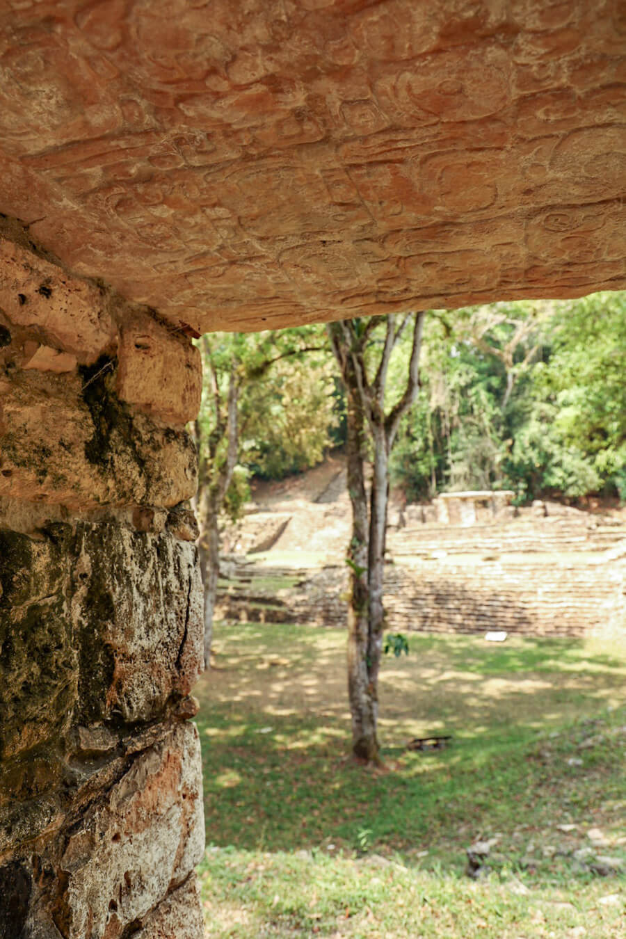 The view of the Grand Plaza through a window with a decorative lintel at Yaxchilán ruins.