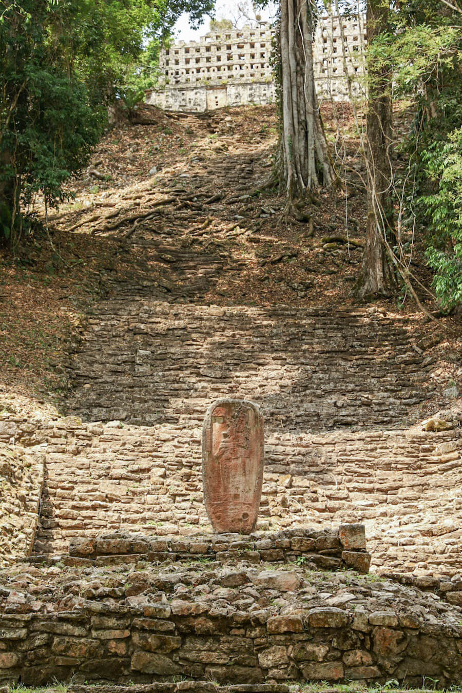 The grand stairs and Stela at Yaxchilan ruins in Chiapas.