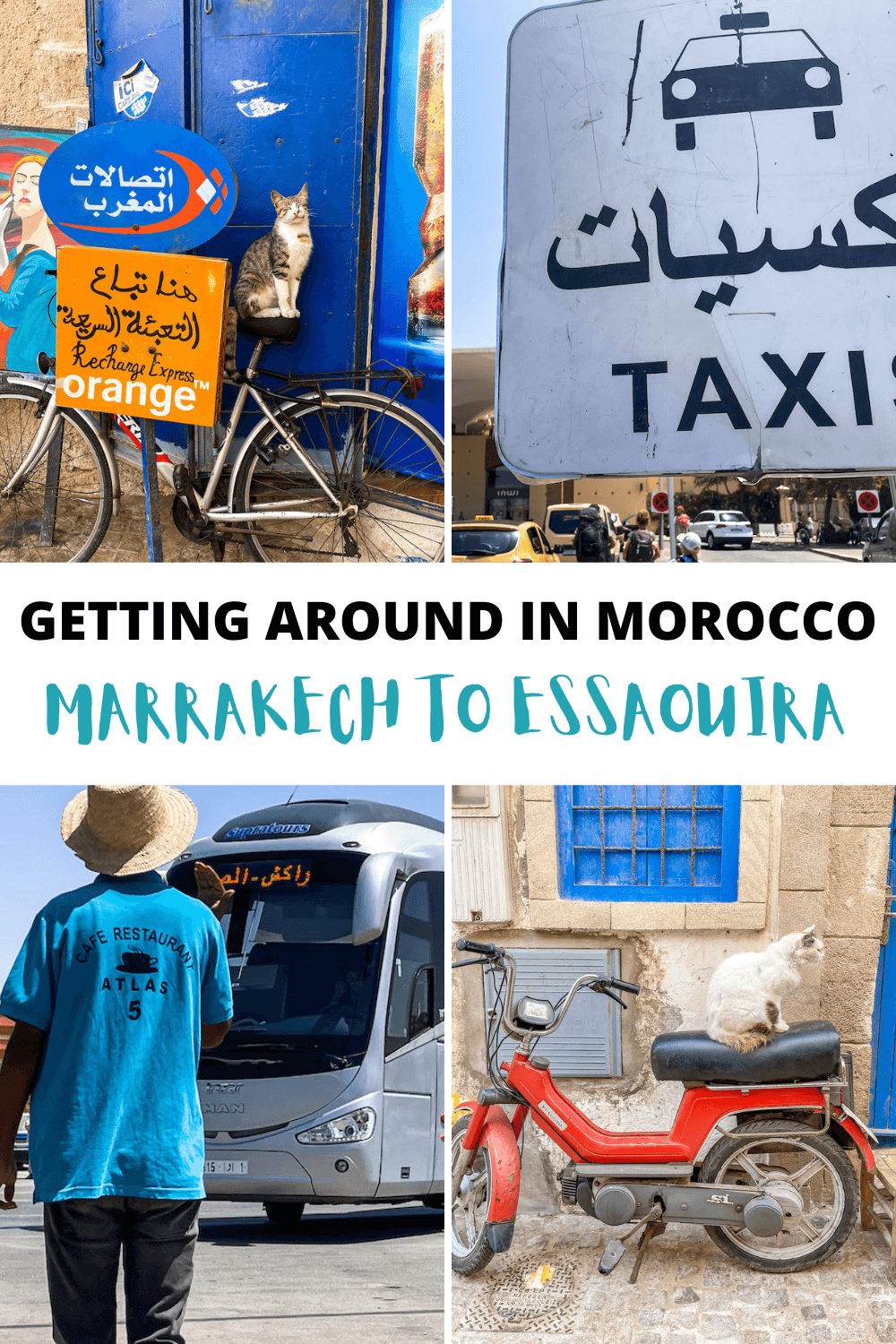 Modes of transport in Morocco - bikes and cats, buses and taxis.