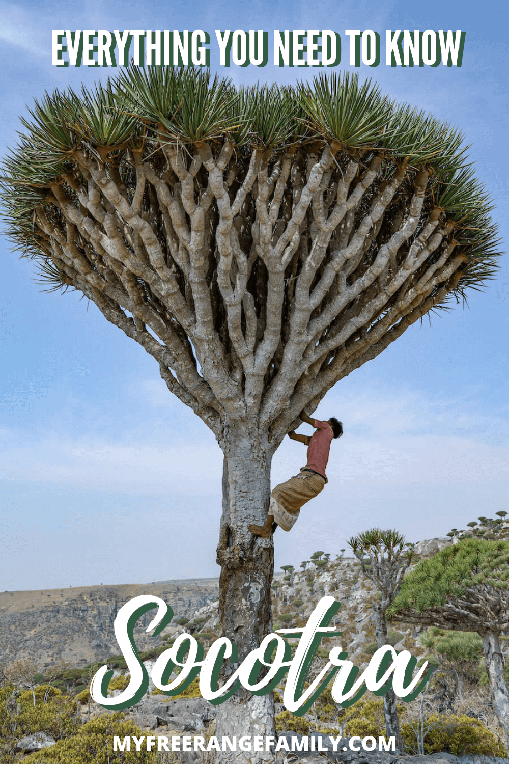 Travel to Socotra