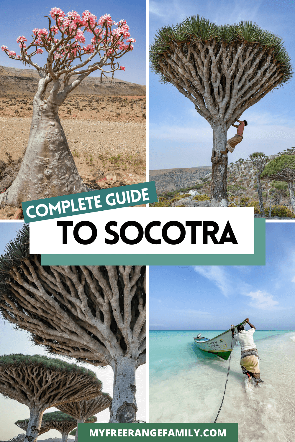Travel to Socotra