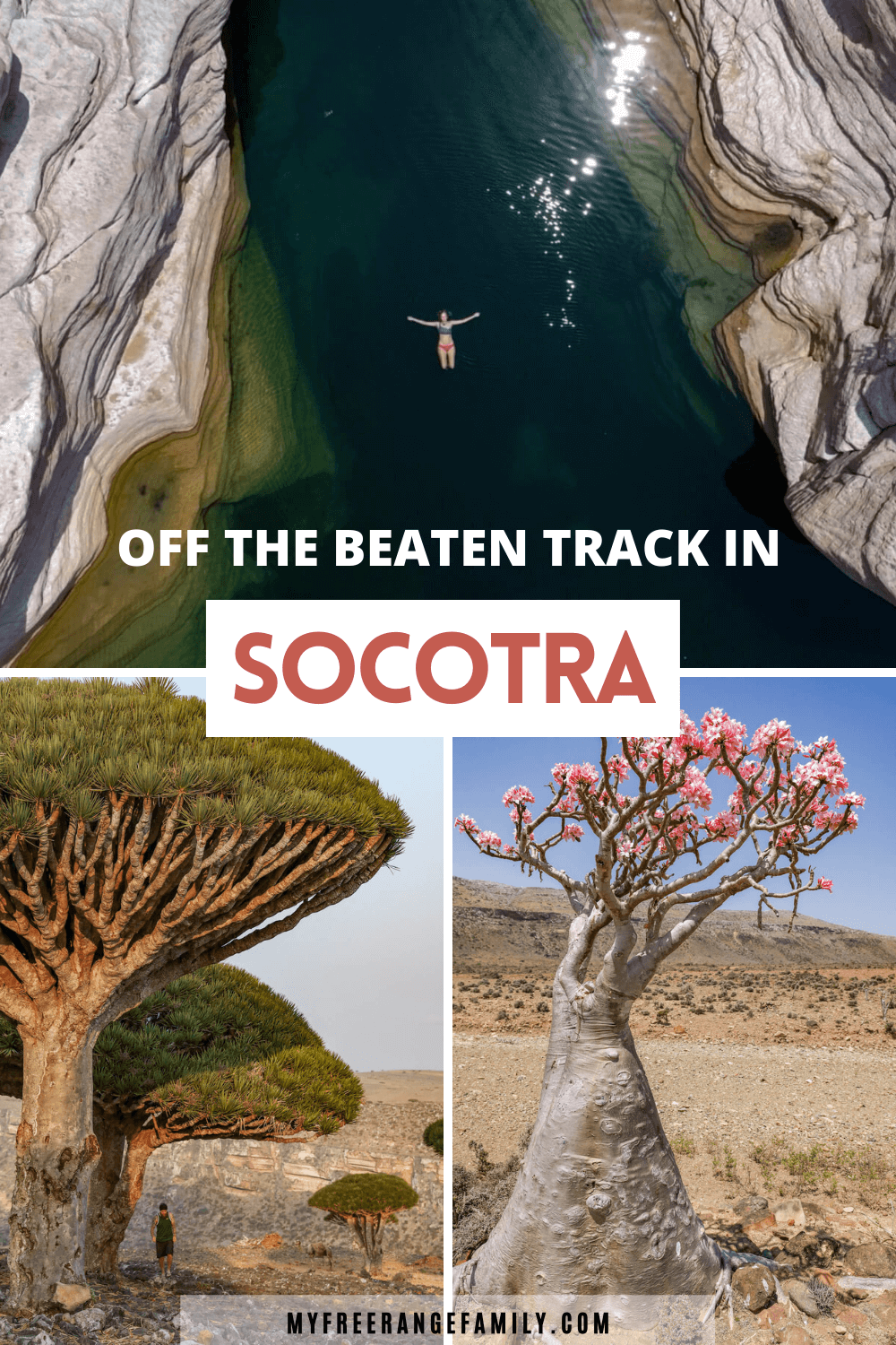 Off the beaten track in Socotra