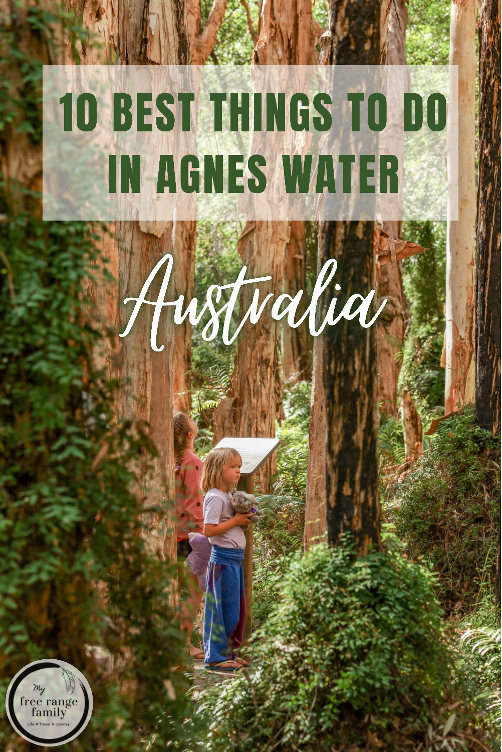 The paper bark forest in 1770